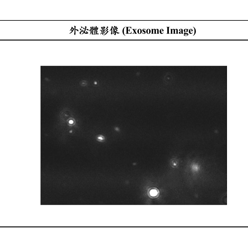 USC-E COA 外泌體影像